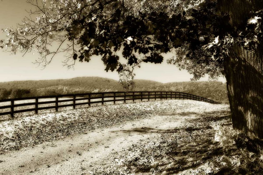 The Road Home II art print by Alan Hausenflock for $57.95 CAD