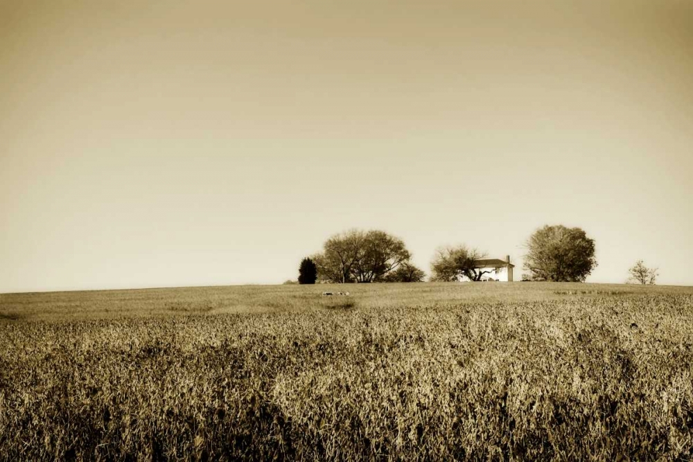 Goochland Farm I art print by Alan Hausenflock for $57.95 CAD