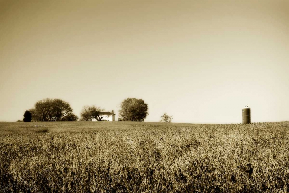 Goochland Farm II art print by Alan Hausenflock for $57.95 CAD