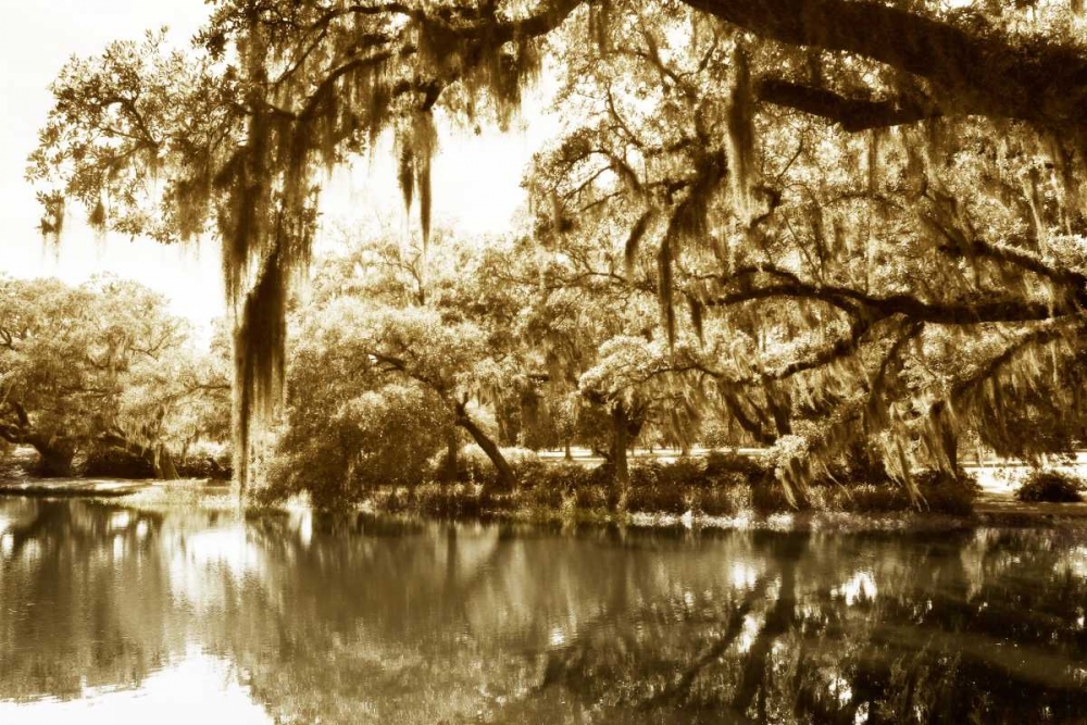 Mossy Lake II art print by Alan Hausenflock for $57.95 CAD