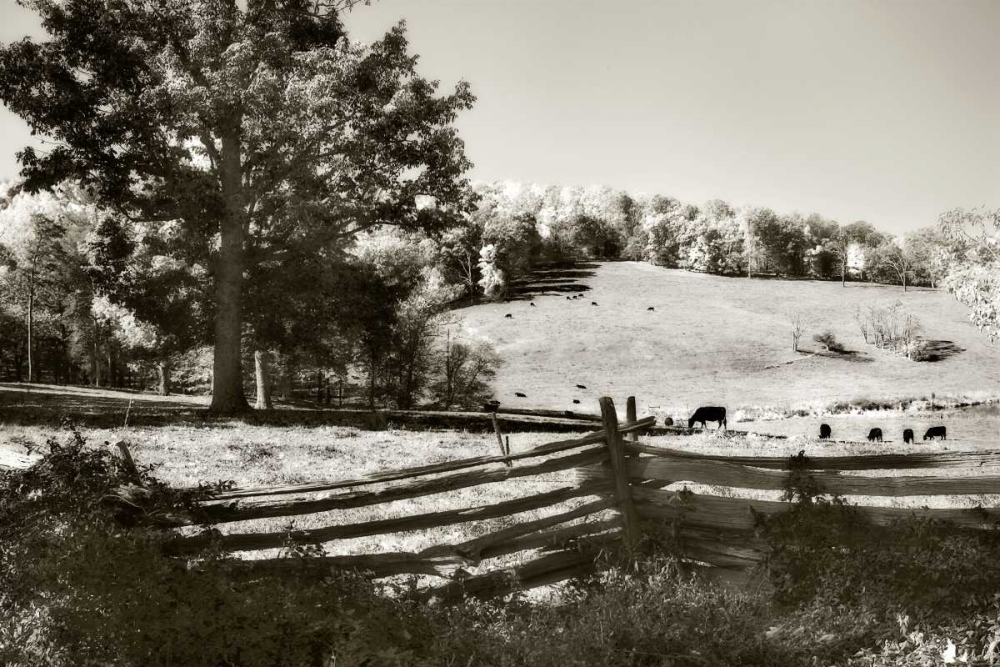 Autumn Pastures I art print by Alan Hausenflock for $57.95 CAD