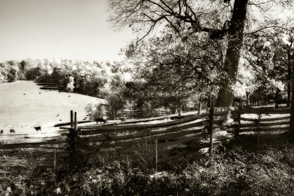 Autumn Pastures II art print by Alan Hausenflock for $57.95 CAD