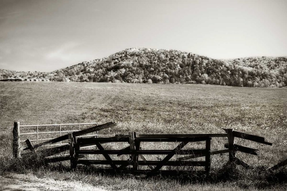 Autumn Pastures IV art print by Alan Hausenflock for $57.95 CAD