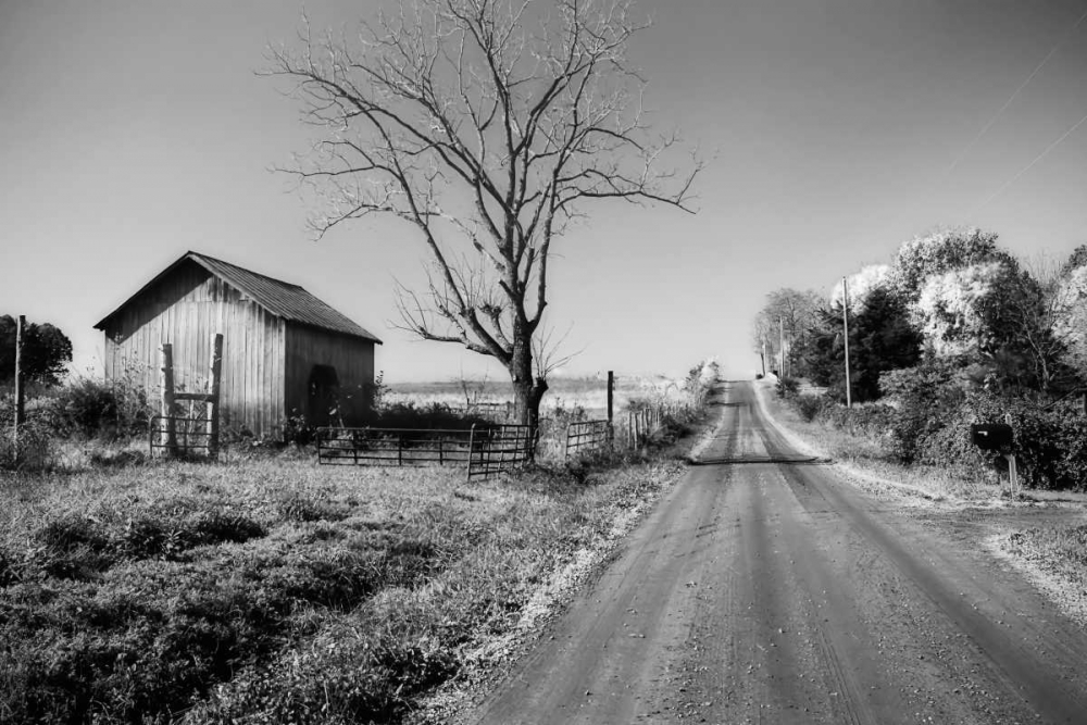 Rural Route VI32 I art print by Alan Hausenflock for $57.95 CAD