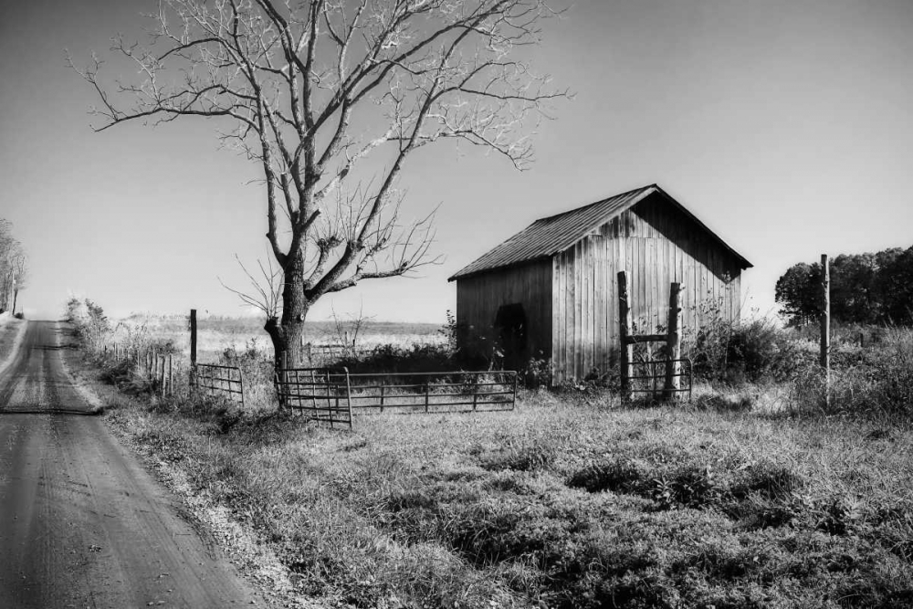 Rural Route VI32 II art print by Alan Hausenflock for $57.95 CAD