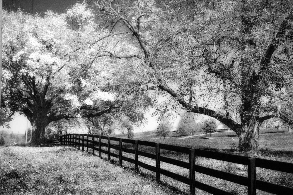 Rural Route III3 I art print by Alan Hausenflock for $57.95 CAD