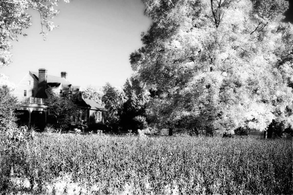 Rural Route III3 II art print by Alan Hausenflock for $57.95 CAD