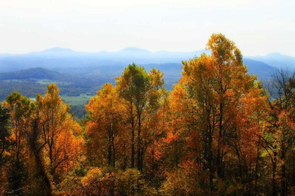 Shenandoah Valley I art print by Alan Hausenflock for $57.95 CAD
