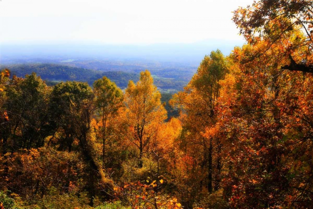 Shenandoah Valley II art print by Alan Hausenflock for $57.95 CAD