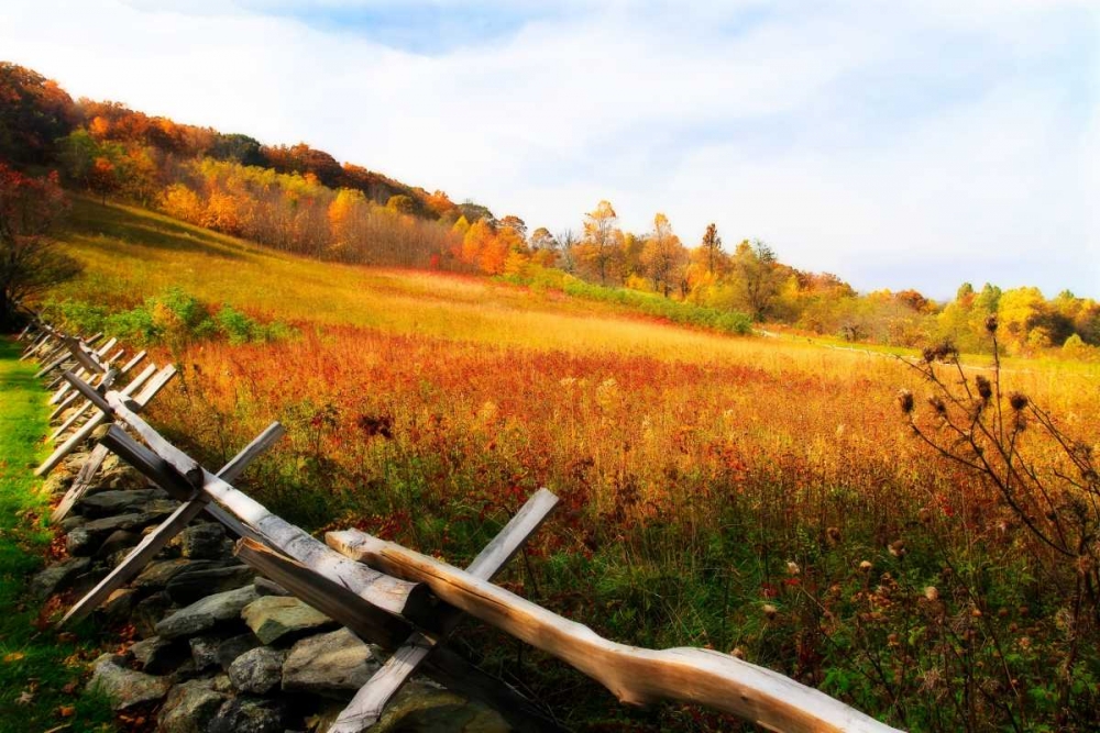 Fire Ridge I art print by Alan Hausenflock for $57.95 CAD