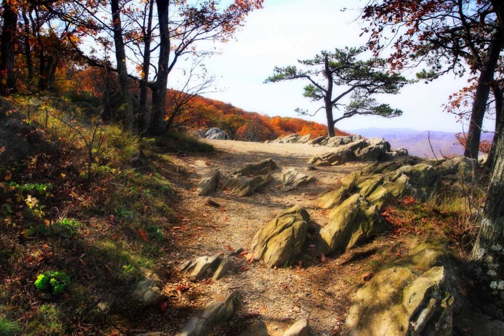 Stoney Ridge I art print by Alan Hausenflock for $57.95 CAD