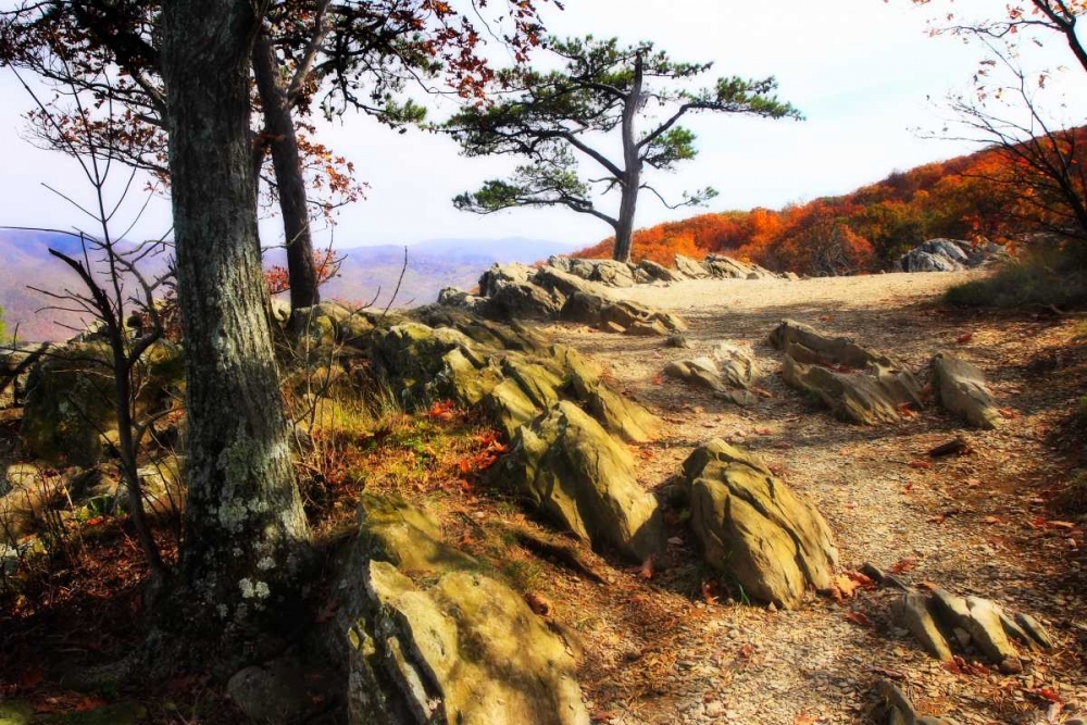 Stoney Ridge II art print by Alan Hausenflock for $57.95 CAD