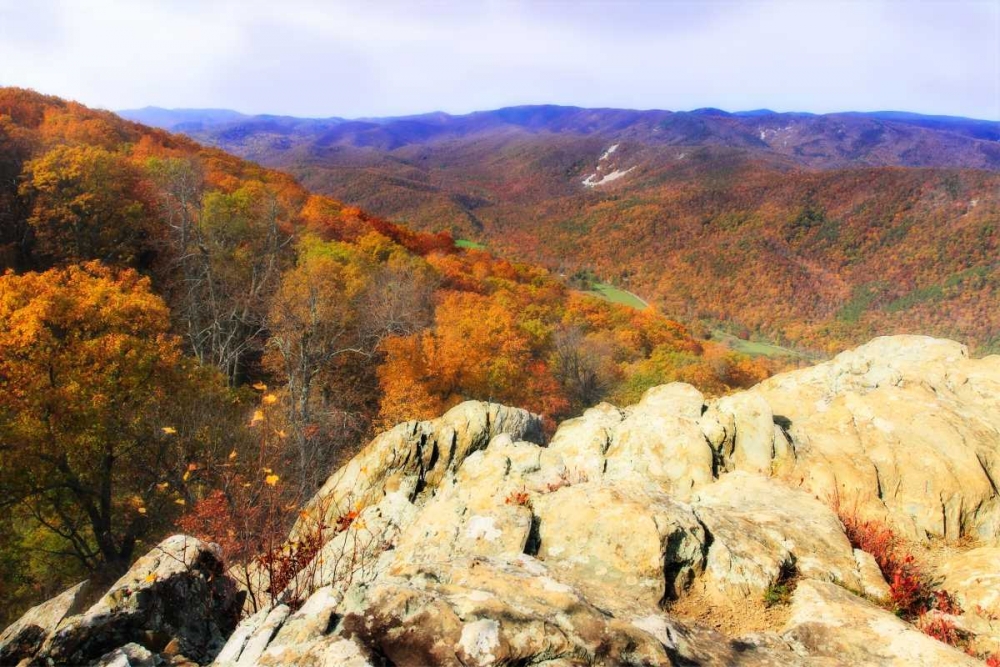 Wildcat Ridge IV art print by Alan Hausenflock for $57.95 CAD