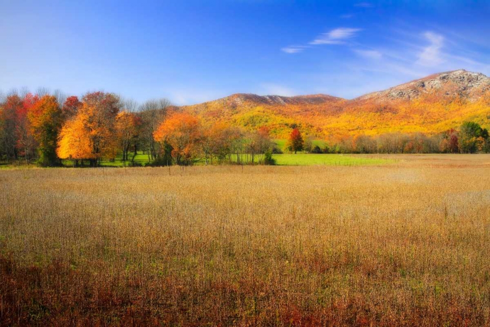 Old Rag Mountain I art print by Alan Hausenflock for $57.95 CAD
