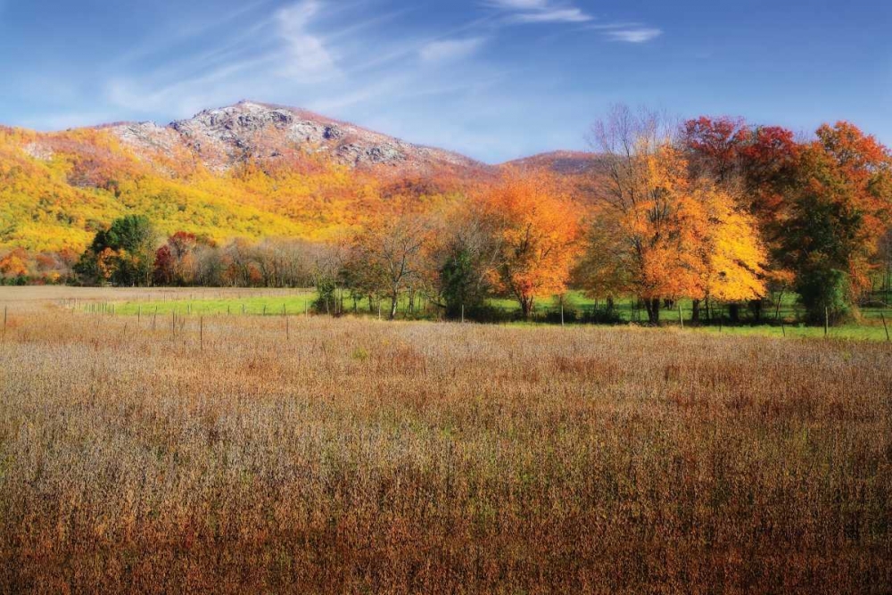 Old Rag Mountain II art print by Alan Hausenflock for $57.95 CAD