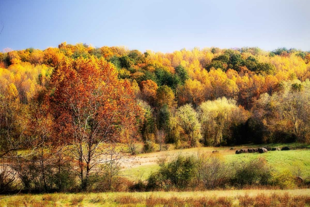 Sperryville Fields I art print by Alan Hausenflock for $57.95 CAD