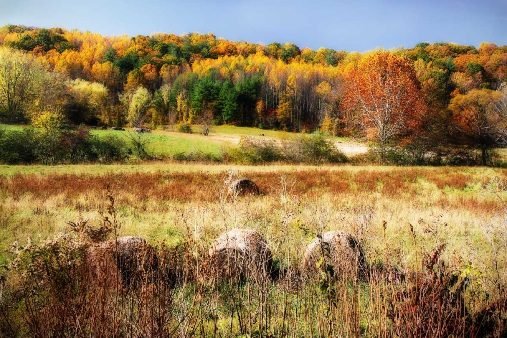 Sperryville Fields II art print by Alan Hausenflock for $57.95 CAD