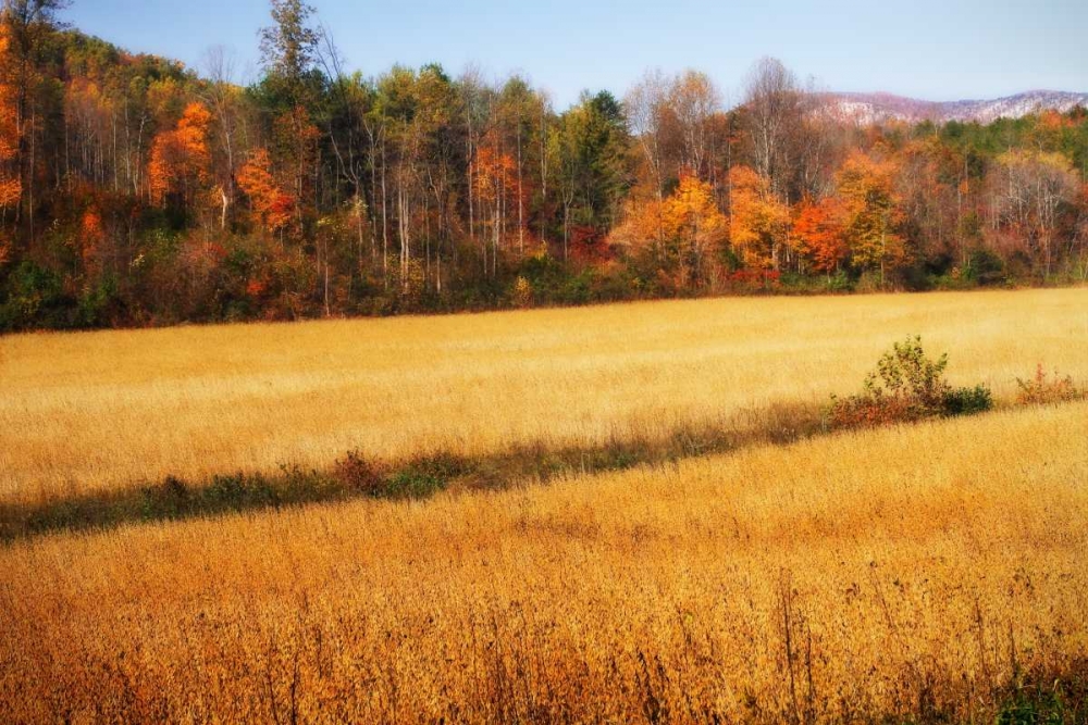 Sperryville Fields III art print by Alan Hausenflock for $57.95 CAD
