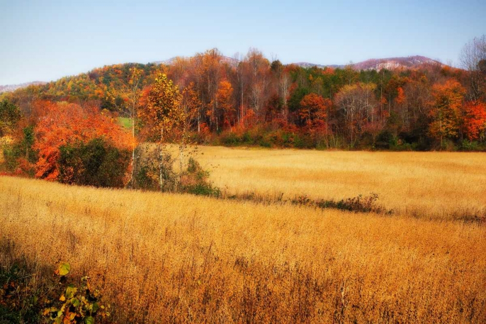 Sperryville Fields IV art print by Alan Hausenflock for $57.95 CAD