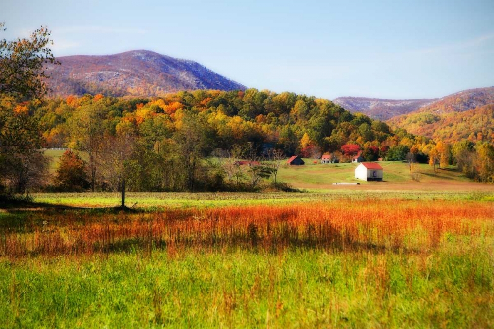Autumn Fields II art print by Alan Hausenflock for $57.95 CAD