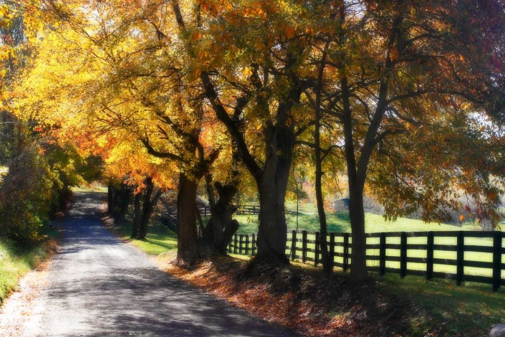 Country Road I art print by Alan Hausenflock for $57.95 CAD