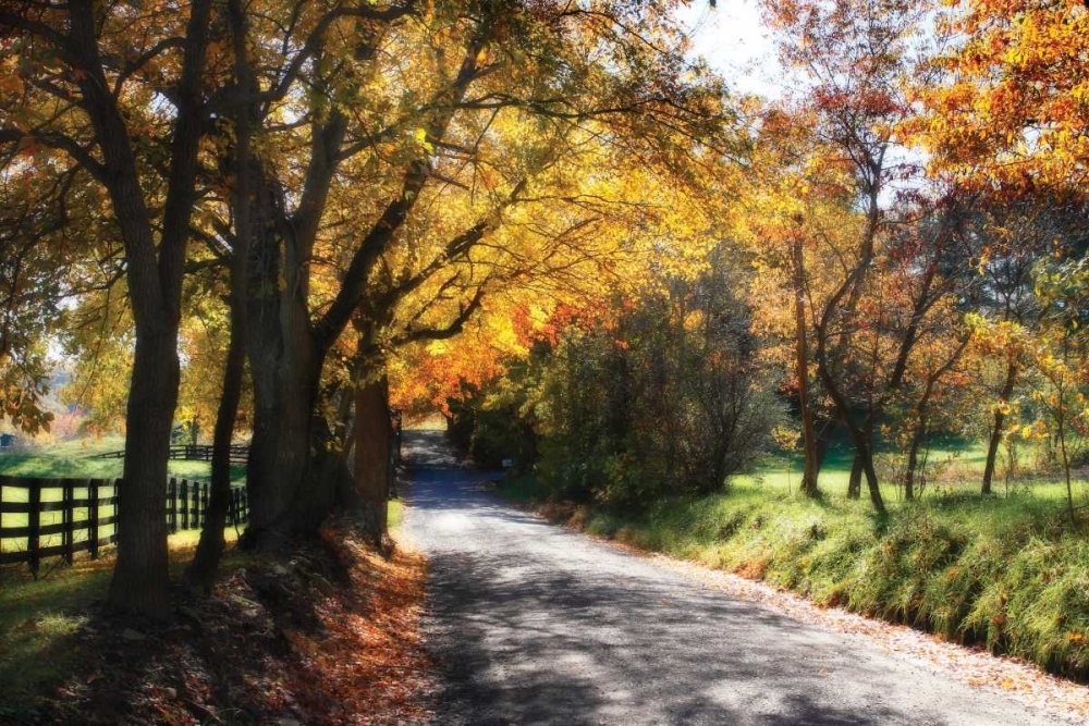 Country Road II art print by Alan Hausenflock for $57.95 CAD