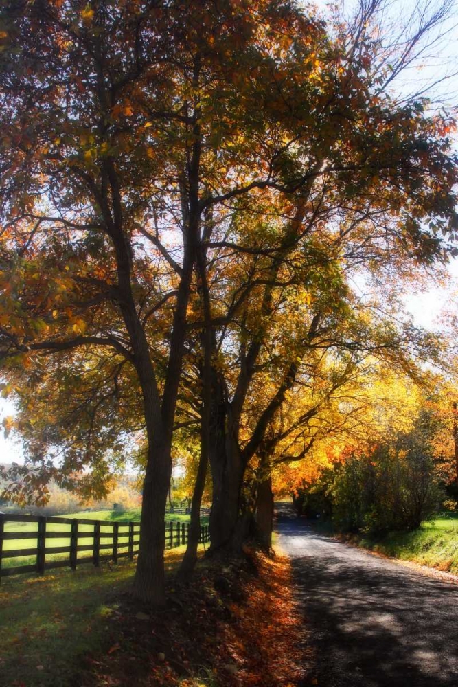 Country Road III art print by Alan Hausenflock for $57.95 CAD