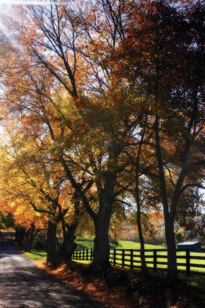 Country Road IV art print by Alan Hausenflock for $57.95 CAD