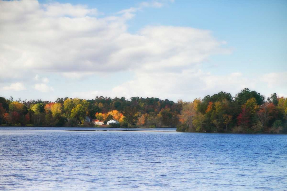 Greenwood Lake III art print by Alan Hausenflock for $57.95 CAD