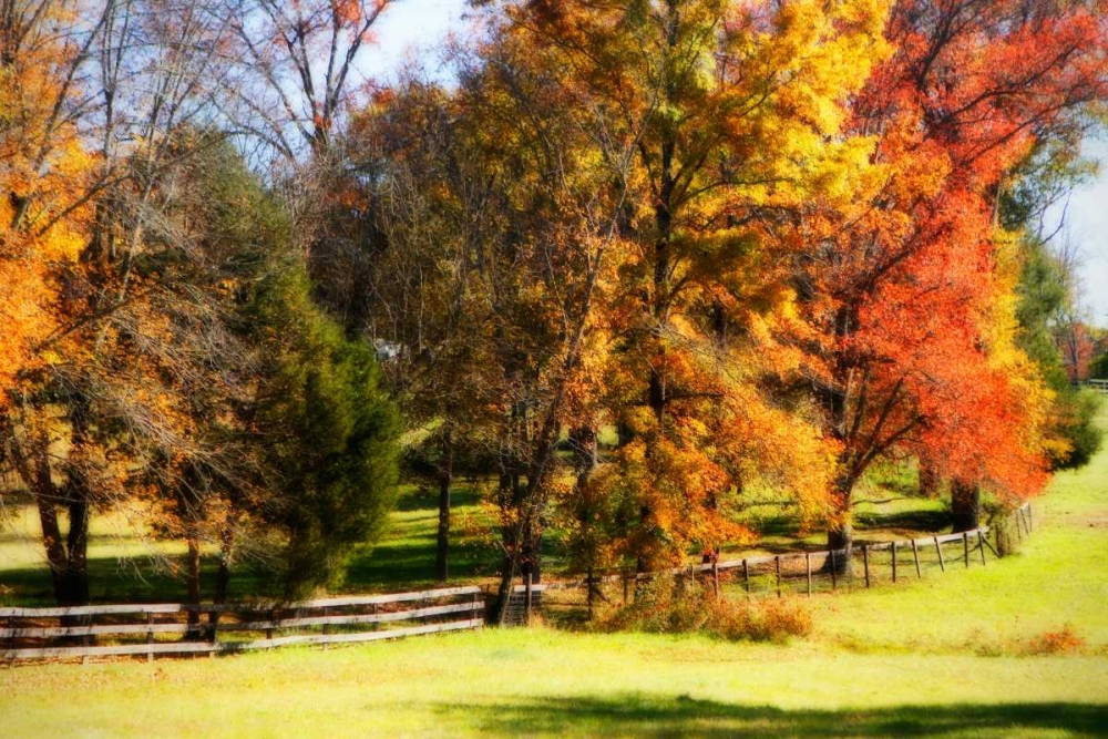 Keswick Pasture I art print by Alan Hausenflock for $57.95 CAD