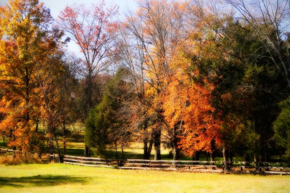 Keswick Pasture II art print by Alan Hausenflock for $57.95 CAD