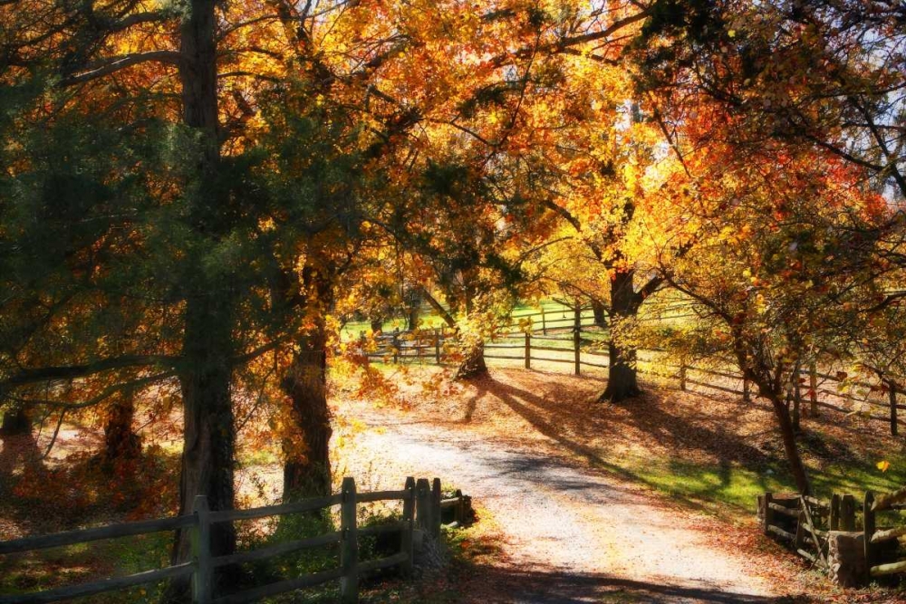 Autumn on Kent Farm I art print by Alan Hausenflock for $57.95 CAD