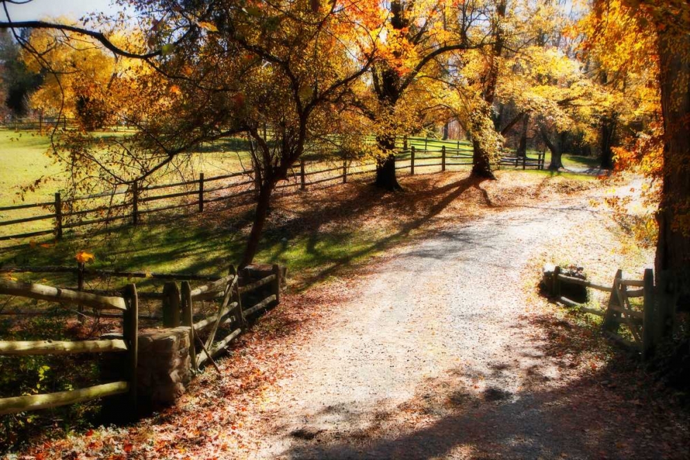 Autumn on Kent Farm II art print by Alan Hausenflock for $57.95 CAD