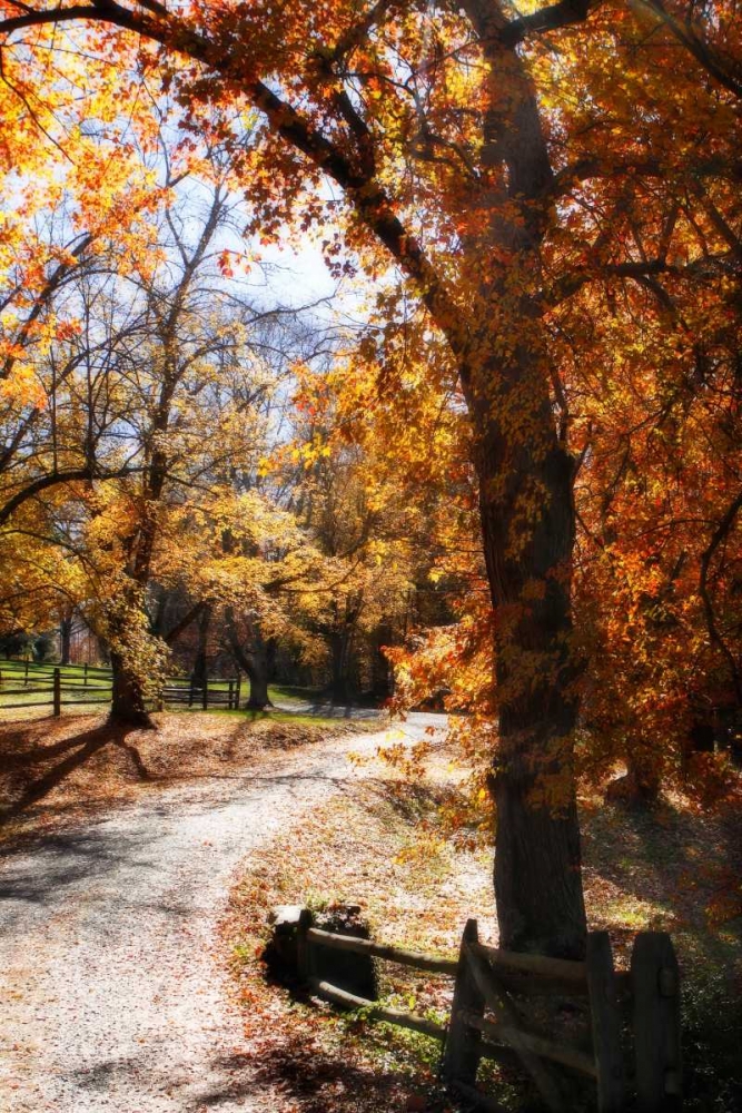 Autumn on Kent Farm IV art print by Alan Hausenflock for $57.95 CAD