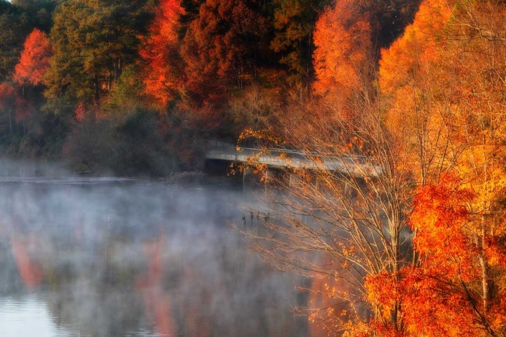 Cold Autumn Morning II art print by Alan Hausenflock for $57.95 CAD
