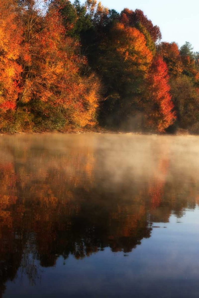 Autumn Mist I art print by Alan Hausenflock for $57.95 CAD