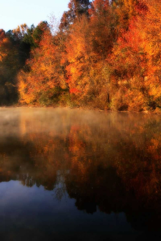 Autumn Mist II art print by Alan Hausenflock for $57.95 CAD