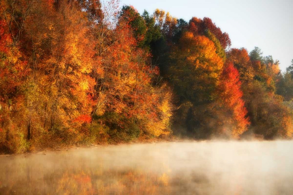 Autumn Mist III art print by Alan Hausenflock for $57.95 CAD