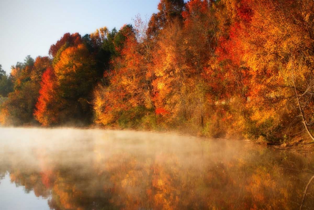 Autumn Mist IV art print by Alan Hausenflock for $57.95 CAD