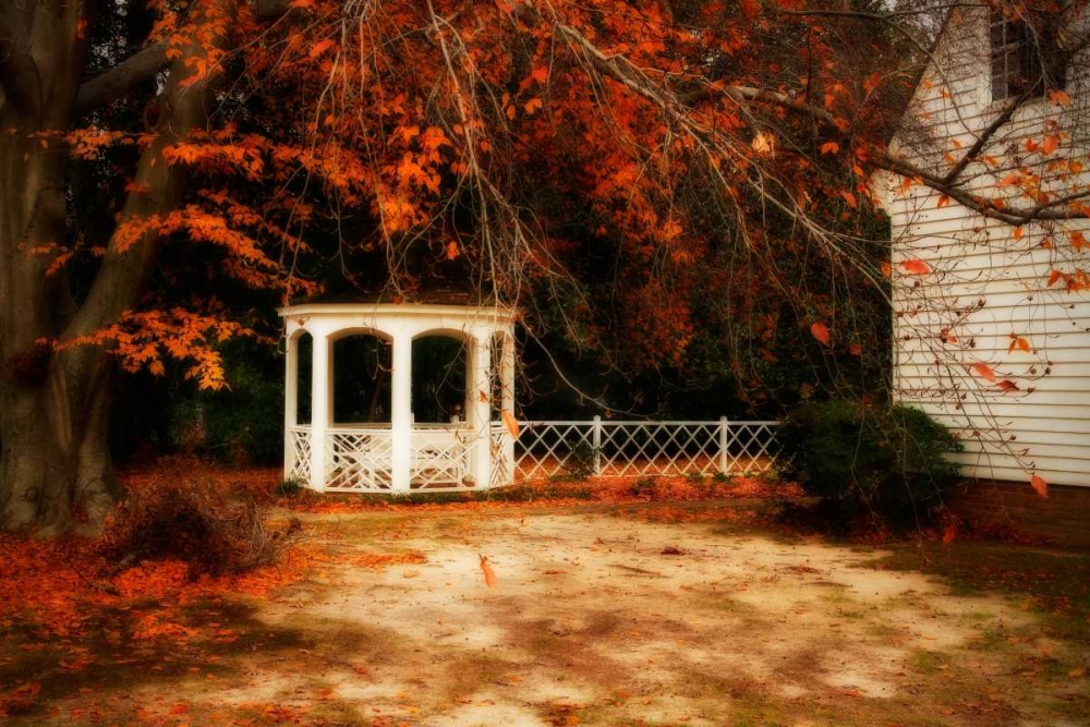 Summers Ending II art print by Alan Hausenflock for $57.95 CAD