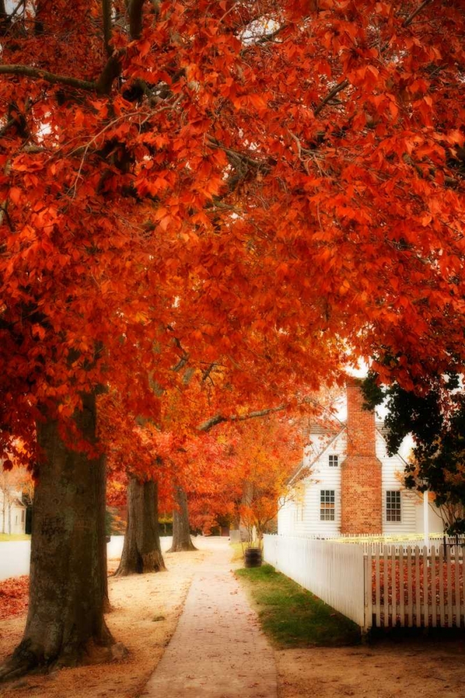 Small Town Autumn I art print by Alan Hausenflock for $57.95 CAD