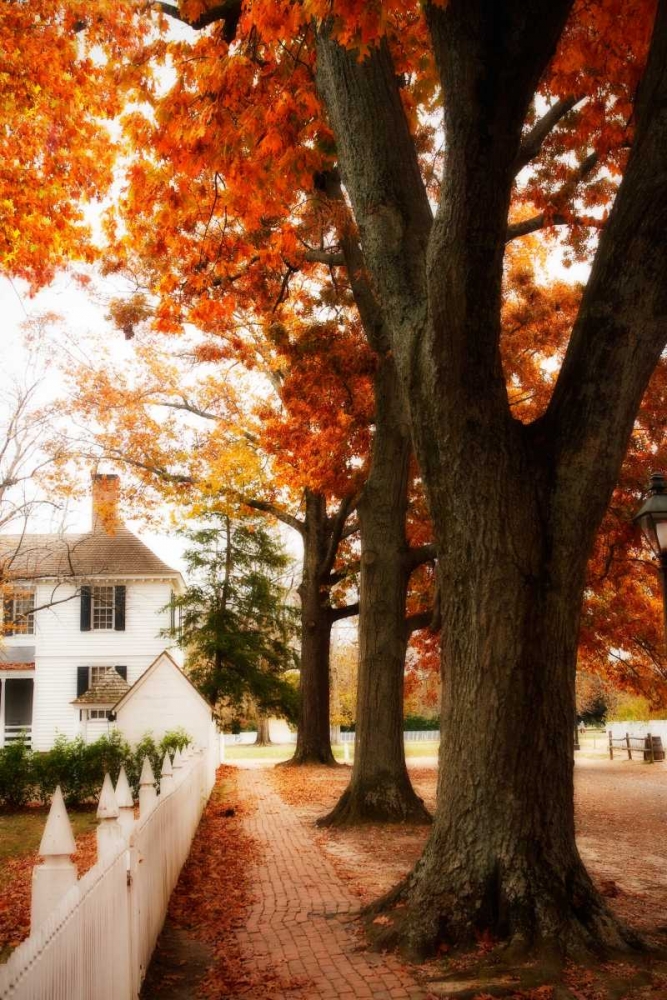 Small Town Autumn II art print by Alan Hausenflock for $57.95 CAD