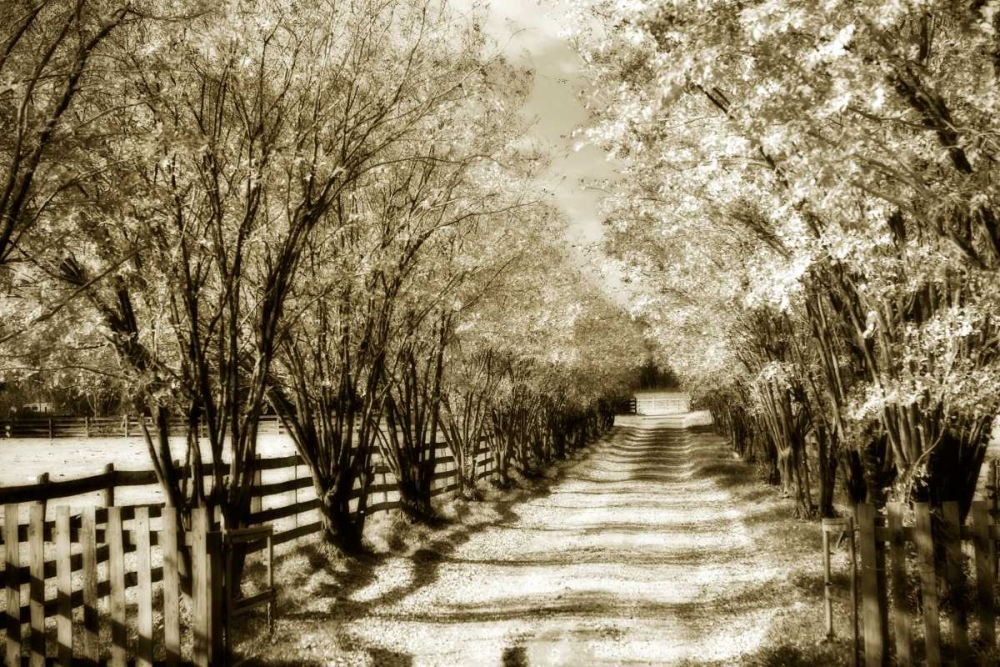 Glen Allen Farm I art print by Alan Hausenflock for $57.95 CAD