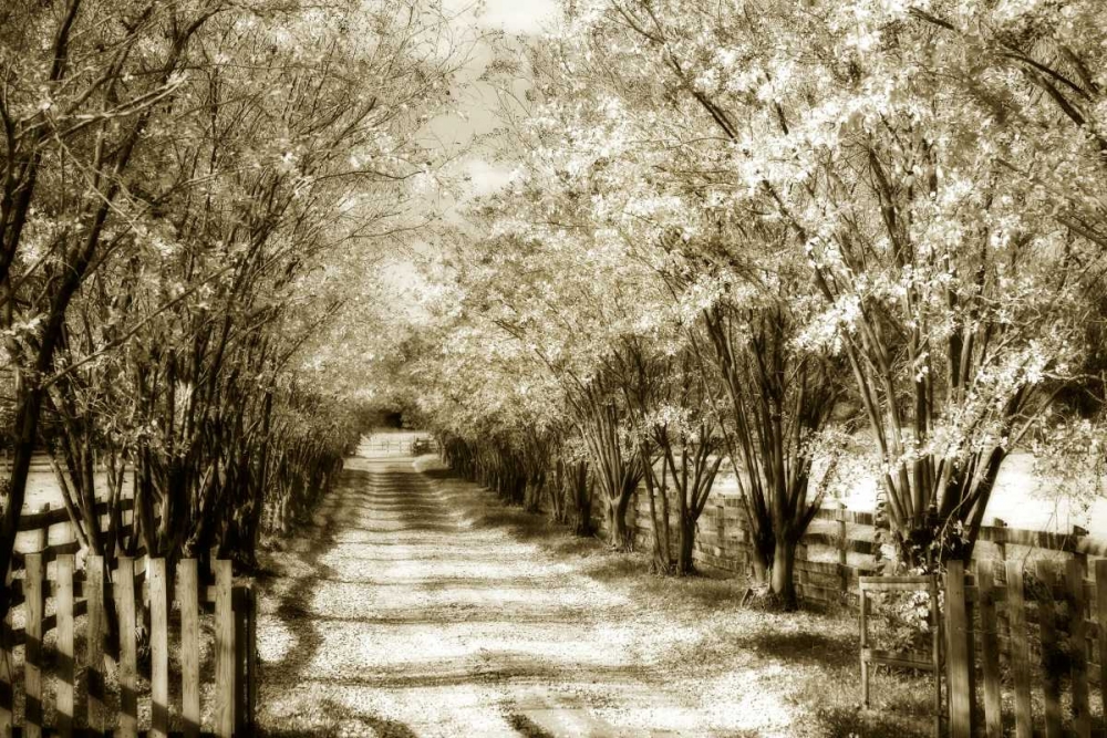Glen Allen Farm II art print by Alan Hausenflock for $57.95 CAD