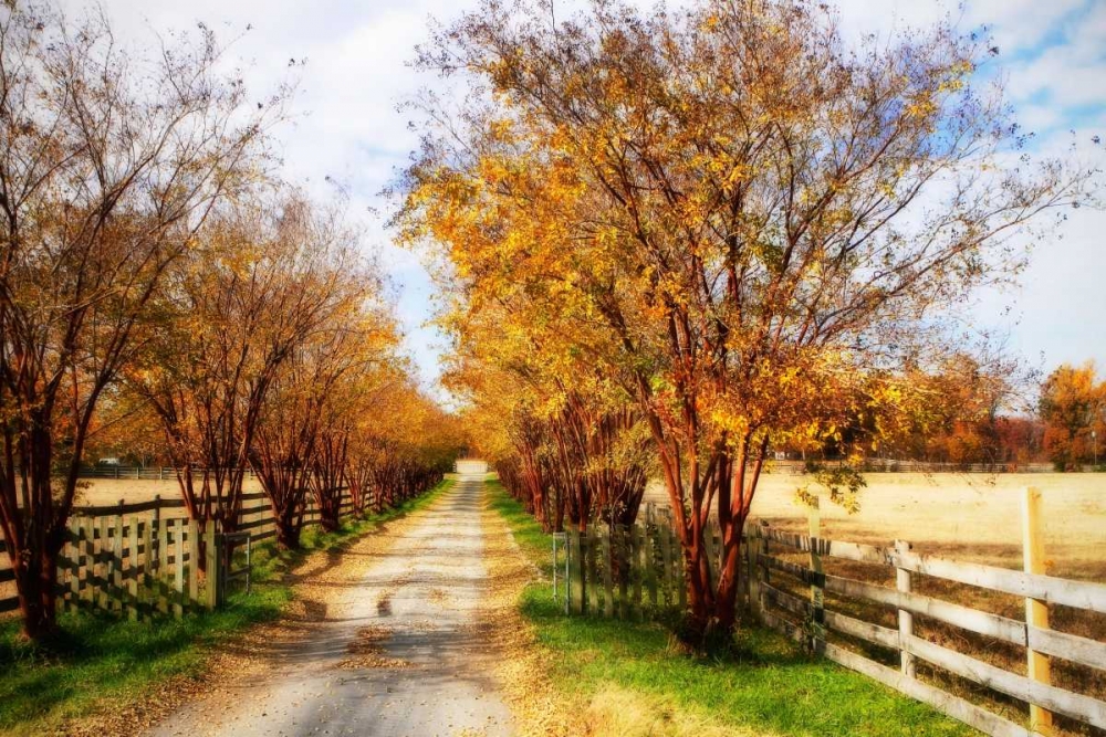 Glen Allen Farm III art print by Alan Hausenflock for $57.95 CAD