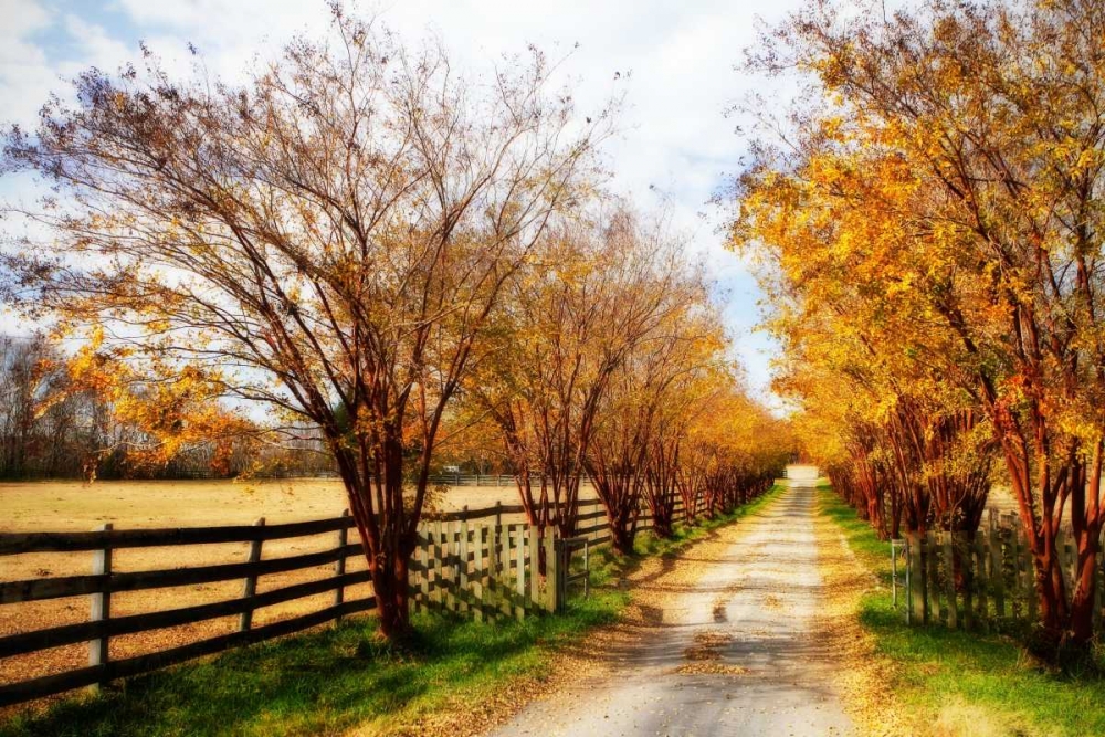 Glen Allen Farm IV art print by Alan Hausenflock for $57.95 CAD