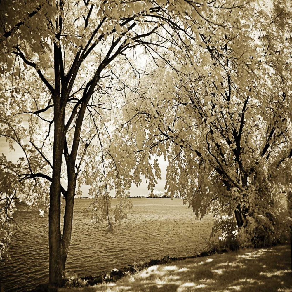 Hopewell Shores I art print by Alan Hausenflock for $57.95 CAD