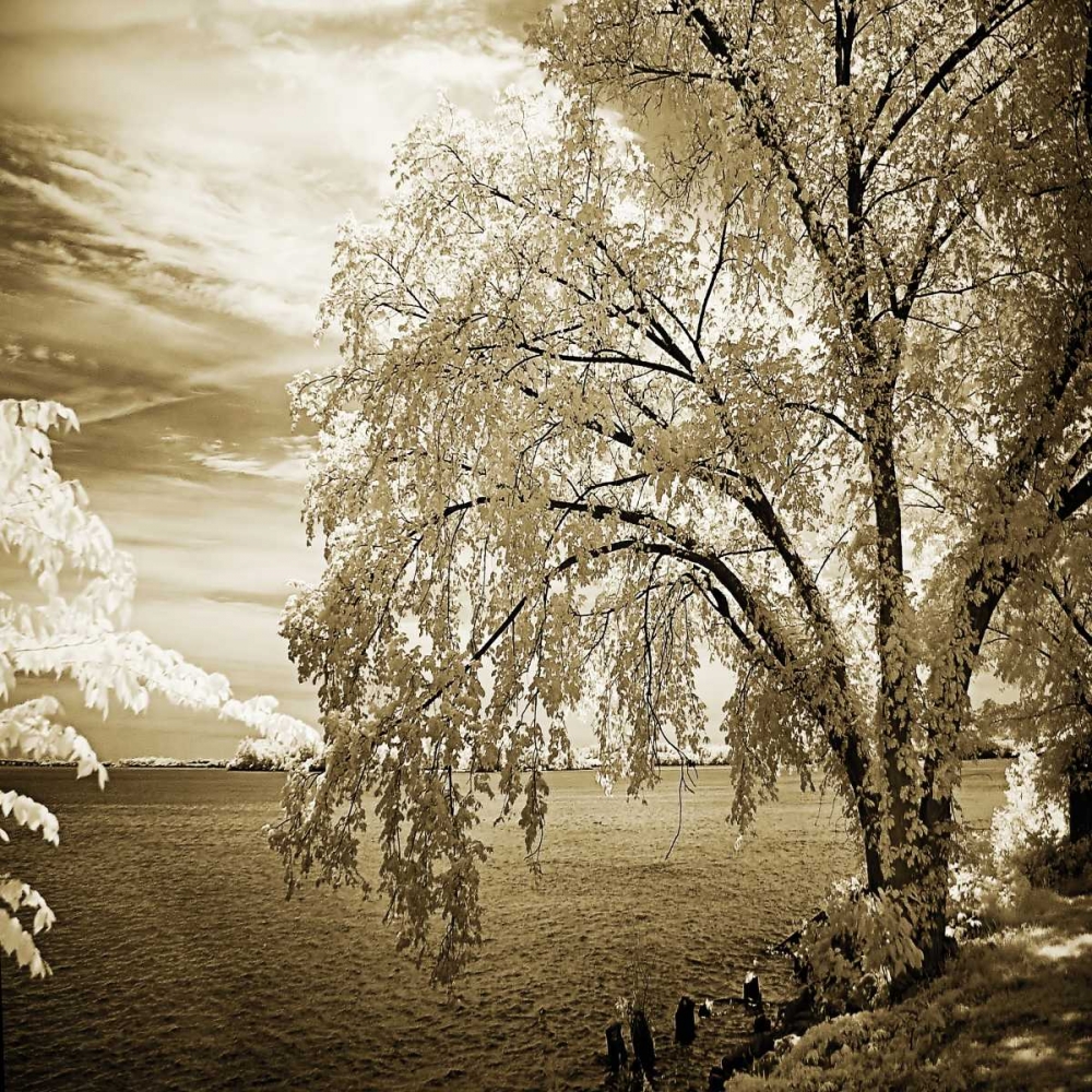 Hopewell Shores II art print by Alan Hausenflock for $57.95 CAD