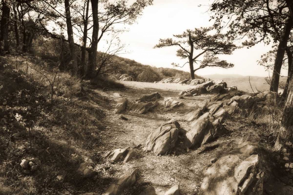 Stoney Ridge I Sepia art print by Alan Hausenflock for $57.95 CAD