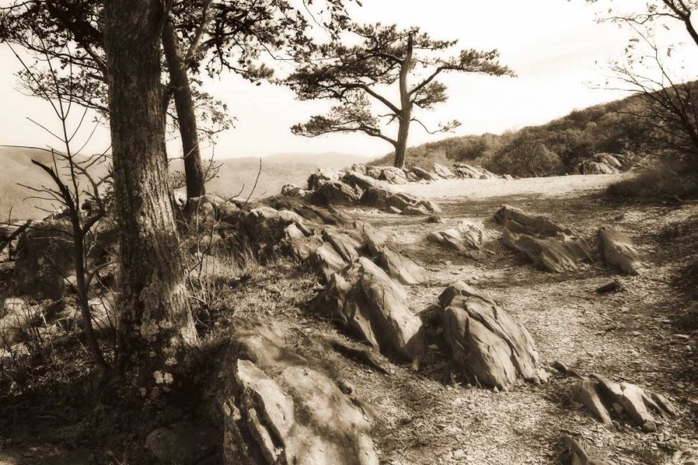 Stoney Ridge II Sepia art print by Alan Hausenflock for $57.95 CAD